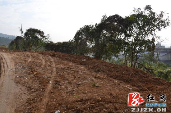 永定区永定办事处望城坡的“垃圾山”去哪儿了