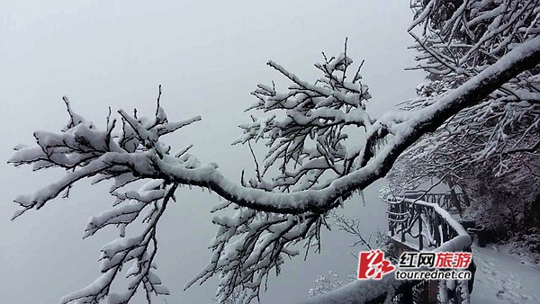 景区已成为一片冰天雪地。