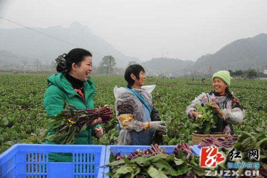 余怀民深入慈利“双联”企业访贫问计