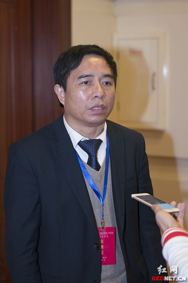 衡阳市党代表、衡东县城关镇党委书记罗敏。