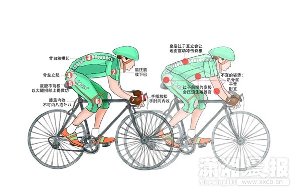 制图 夏晨.JPG