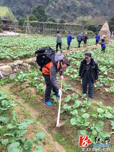 张家界黄龙洞广场田园惊现“洋农民”
