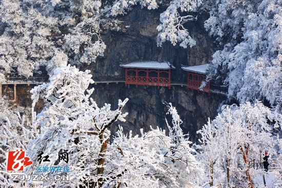 天门山“冰花”开了 雪又要来了