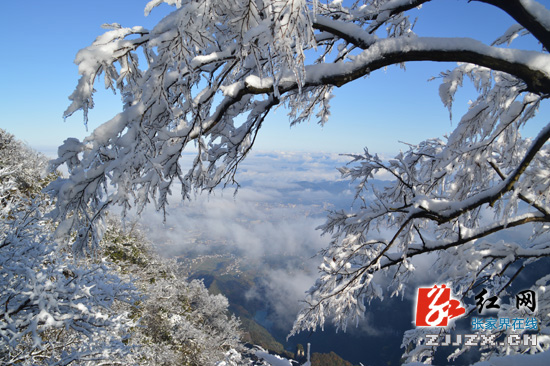 天门山“冰花”开了 雪又要来了