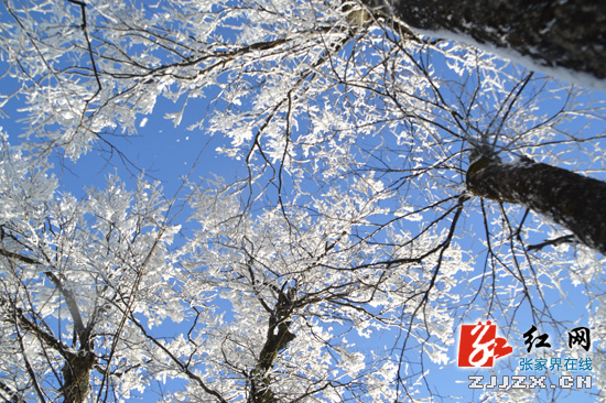 天门山“冰花”开了 雪又要来了