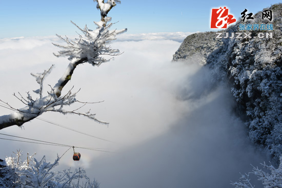 天门山“冰花”开了 雪又要来了