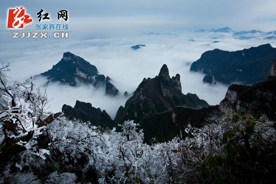 天门山“冰花”开了 雪又要来了