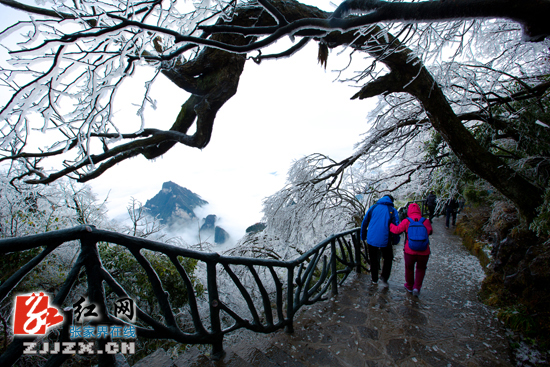 天门山“冰花”开了 雪又要来了