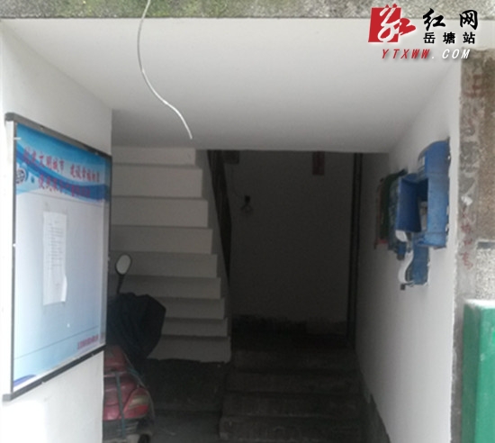 疏堵结合 岳塘区城市“牛皮癣”治理专项行动显成效