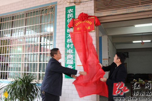 祁东县第一家村级电商服务示范站正式运行