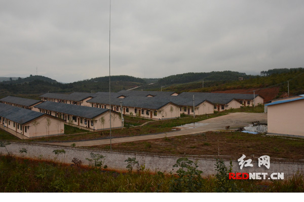 温氏集团桂湘养殖公司生态养猪场。
