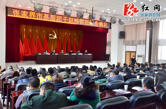 张家界市基层团干部培训班结业