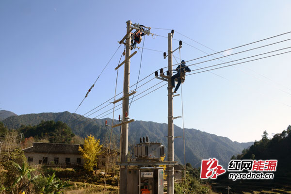 永州供电工作人员正进行配电台区安装建设。
