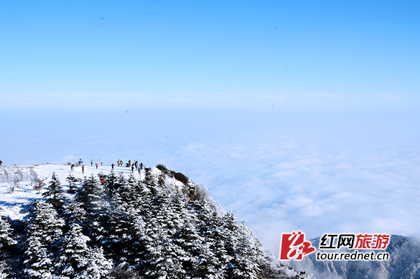 峨眉山的云海。