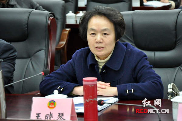 湖南省政协副主席王晓琴主持座谈会。