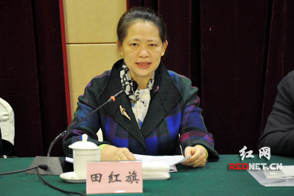 民革湖南省委主委田红旗代表民革湖南省第十三届委员会常务委员会作工作报告。