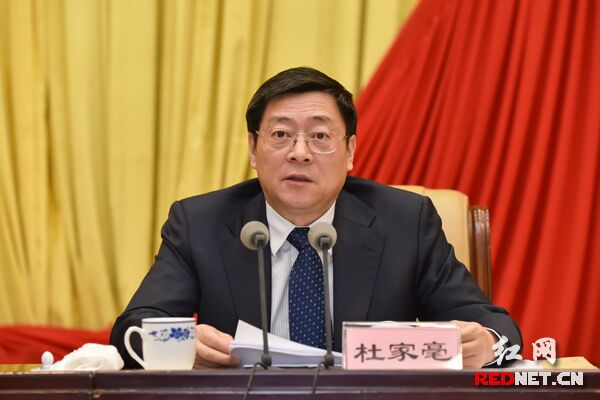 湖南省委副书记、省长杜家毫传达李克强总理重要讲话精神。
