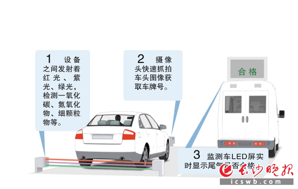 检测过程示意图 制图/王斌