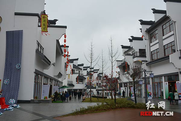浔龙河创客一条街由慧润乡村酒店、鲜开心蔬菜农场、地球仓乡村屋、光速达智能家居等30多个创客项目组成