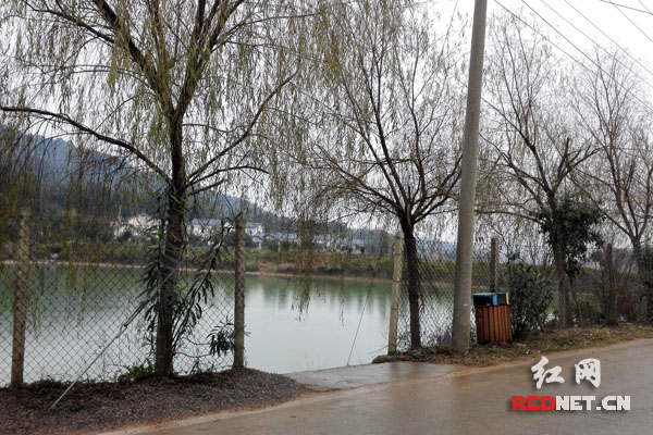 “讲卫生爱整洁，植树种花美化环境”成了望城区村民的习惯。