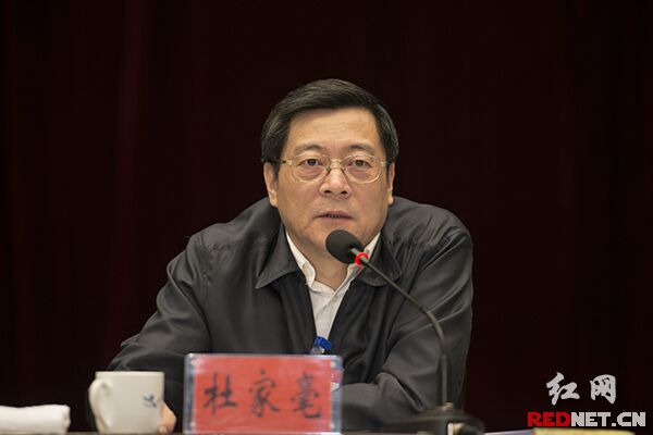 省委副书记、省长杜家毫发表讲话。