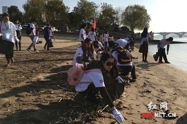 志愿者们手持垃圾袋沿橘子洲湘江河岸拾垃圾。