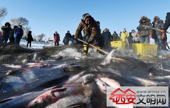 哈尔滨渔民极寒天冬捕 游客赞叹不已大呼壮观