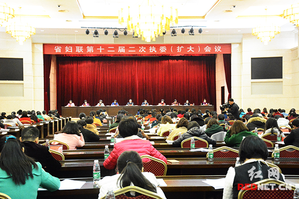 12月29日上午，湖南省妇联十二届二次执委(扩大)会议在长沙召开。