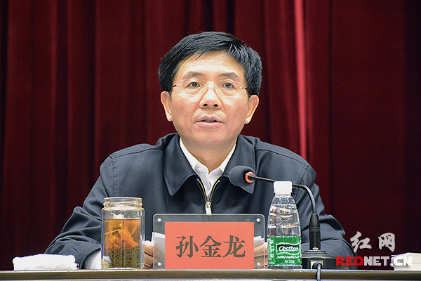 湖南省委副书记孙金龙出席会议并作重要讲话。