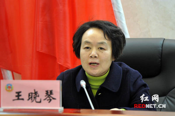 湖南省政协副主席王晓琴主持。