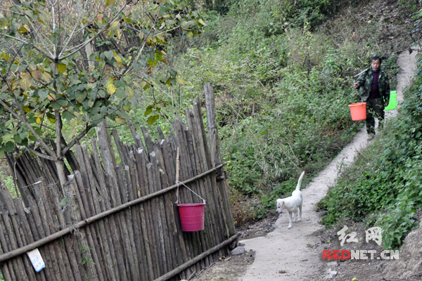 2014年以前，古丈县的向文好一直需要步行到一公里外挑水吃。