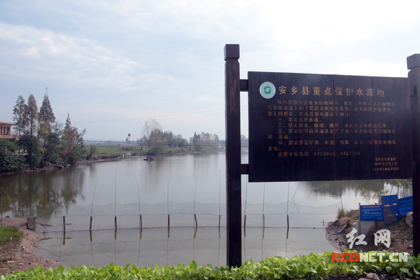 安乡对县里的重点水源地进行了保护。
