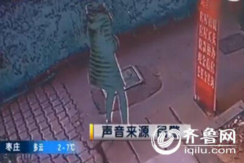 女子青岛街边产子后遗弃 男婴经查有感染症状