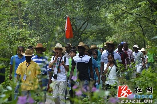 张家界核心景区武陵源入境游再迎“阳春”