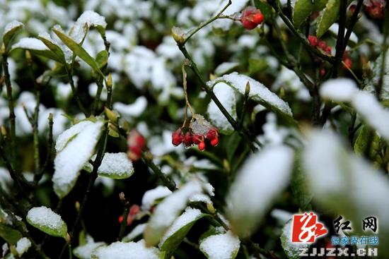 张家界核心景区武陵源迎今年首场降雪(图)