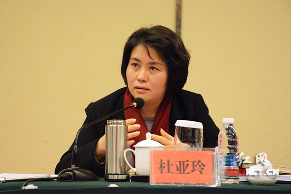 湖南省妇联主席杜亚玲出席并讲话
