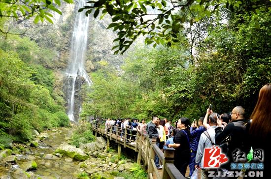 张家界大峡谷景区去年接待创新高 玻璃桥成“热点”
