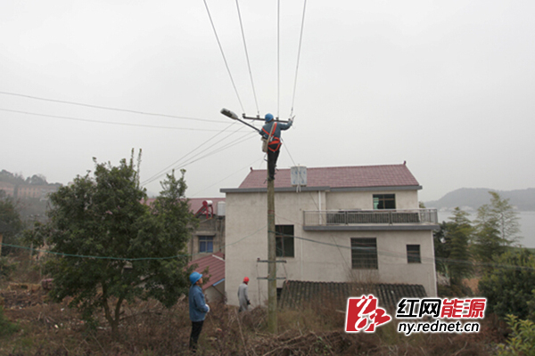 工作人员正在拆除网箱养鱼所用的零线