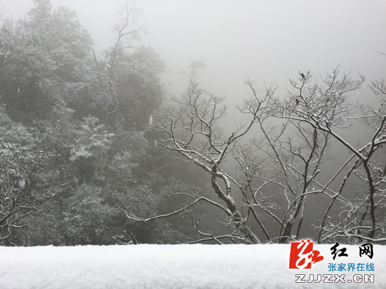 张家界核心景区武陵源迎来新一轮降雪（组图）