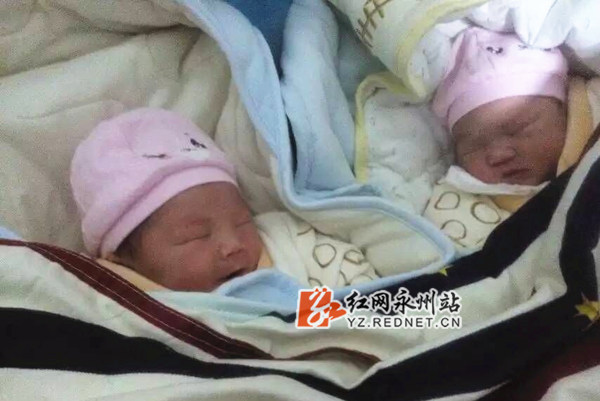 安详地躺在摇篮里的双胞胎宝宝