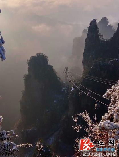 张家界天子山雪后初晴现童话世界（组图）