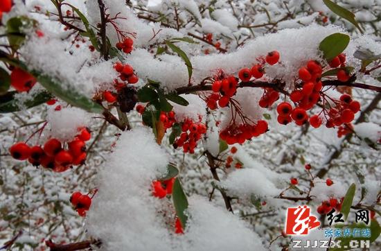 张家界天子山雪后初晴现童话世界（组图）