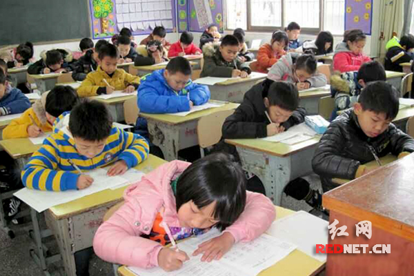 金海小学的学生们已经适应了“无人监考”的模式。