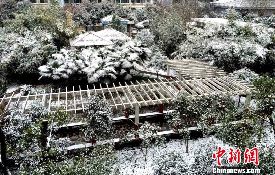 江苏“冬雪”如期而至各地交通顺畅道路没有积雪