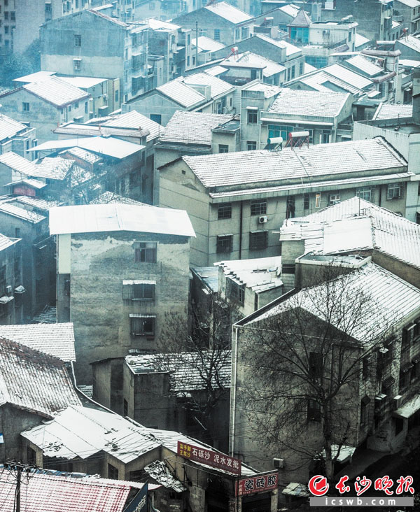 昨日，湖南岳阳降下了2016年的第一场小雪，为屋顶、树枝铺上了一层薄薄的轻纱。　　长沙晚报记者　　李锋 摄