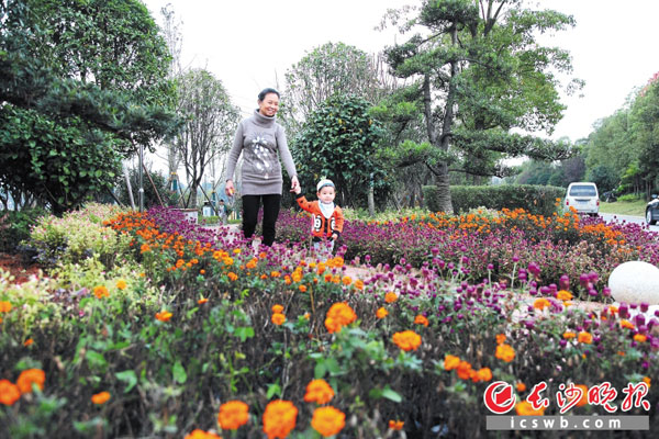 芙蓉区创造出拆违复绿加速度 ，人民东路两侧的违法建筑倒地后，一座座小游园清新两厢，成为市民休闲好去处。