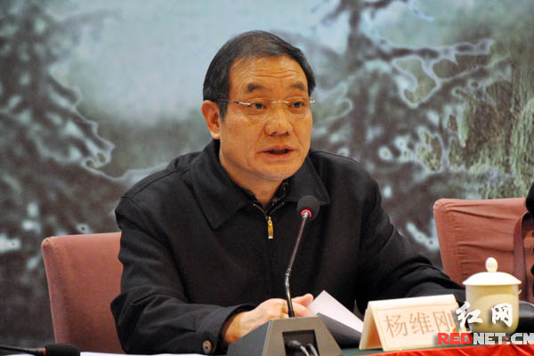 湖南省政协副主席、民盟湖南省委主委杨维刚代表民盟湖南省委十三届常委会作工作报告。