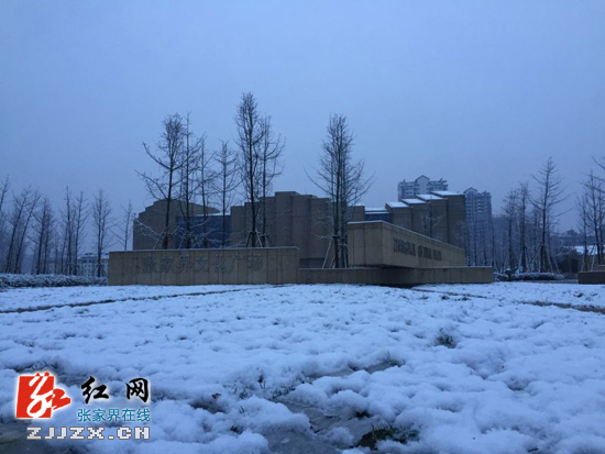  【快讯】 张家界市城区迎来降雪