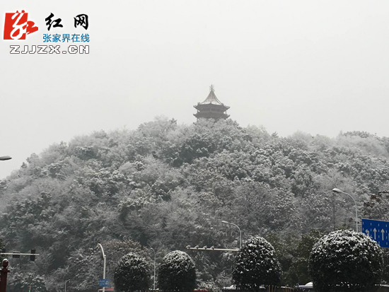  【快讯】 张家界市城区迎来降雪