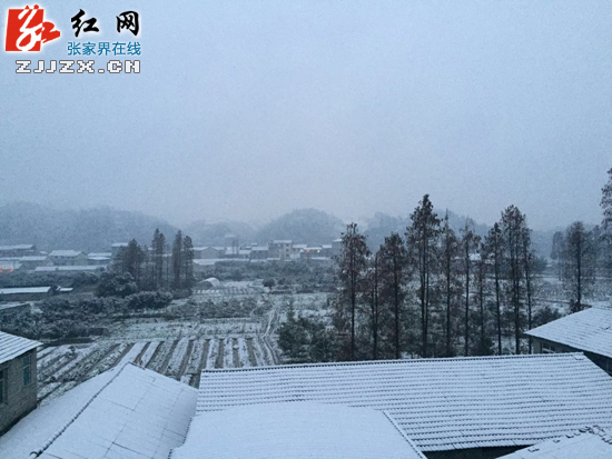  【快讯】 张家界市城区迎来降雪